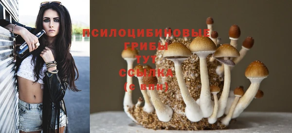 дживик Нефтегорск