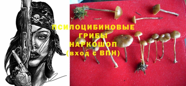 дживик Нефтегорск