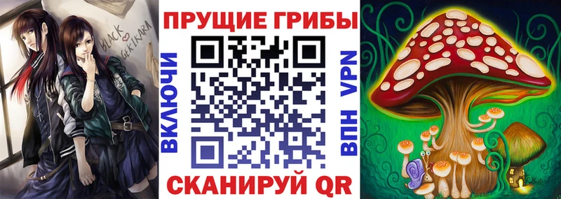 Псилоцибиновые грибы мухоморы  Новый Уренгой 