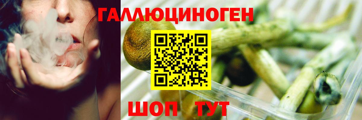Галлюциногенные грибы мухоморы Новый Уренгой
